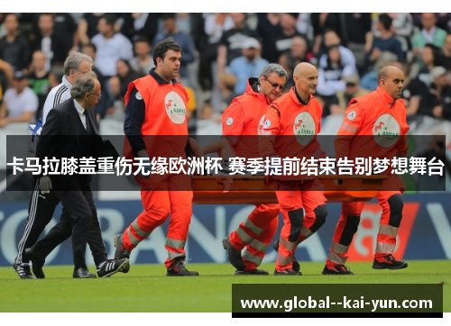 卡马拉膝盖重伤无缘欧洲杯 赛季提前结束告别梦想舞台 卡马拉膝盖重伤无缘欧洲杯 赛季提前结束告别梦想舞台